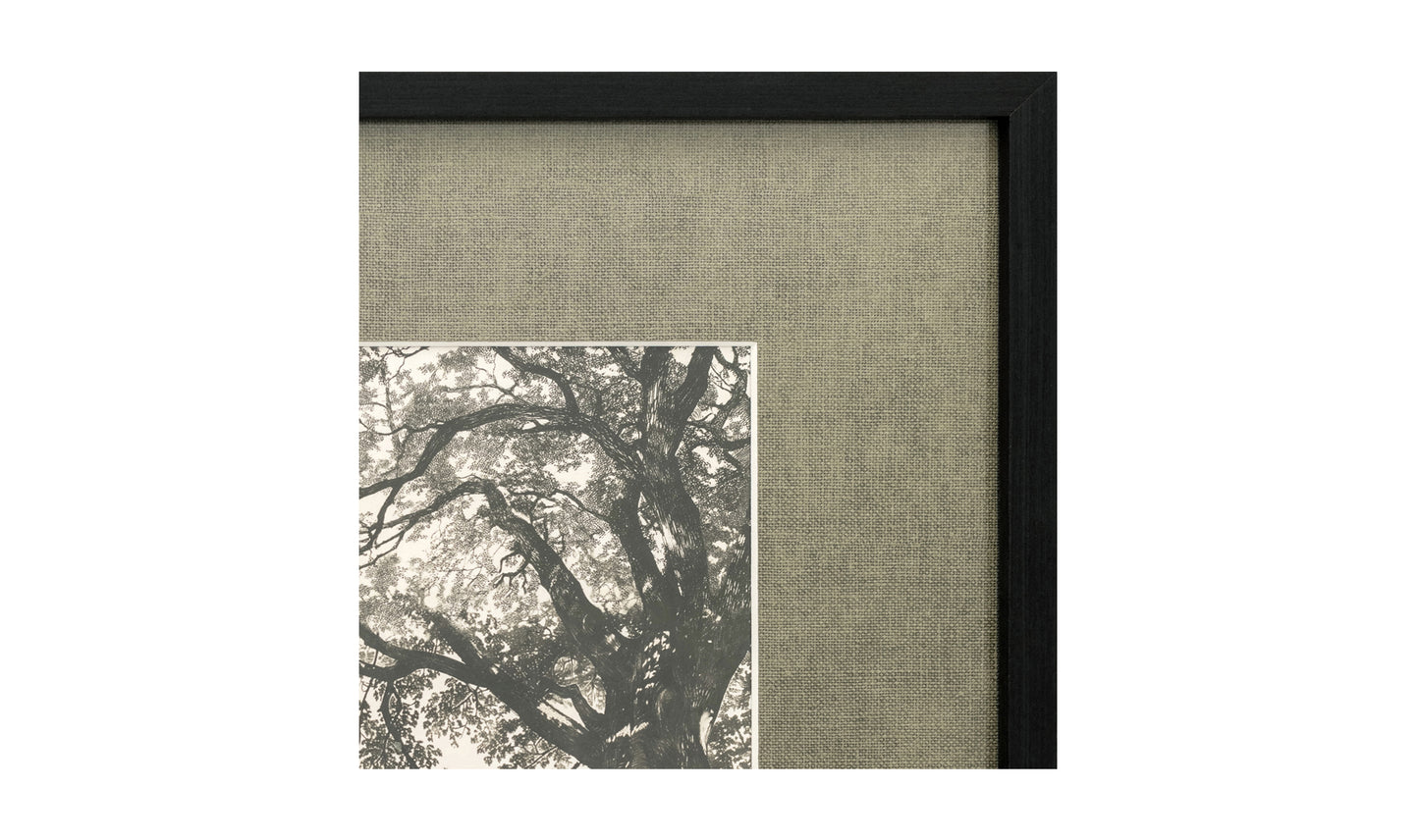 Arise Framed Print