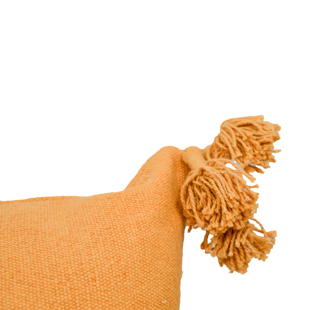 Miah Orange Cushion with Tassels