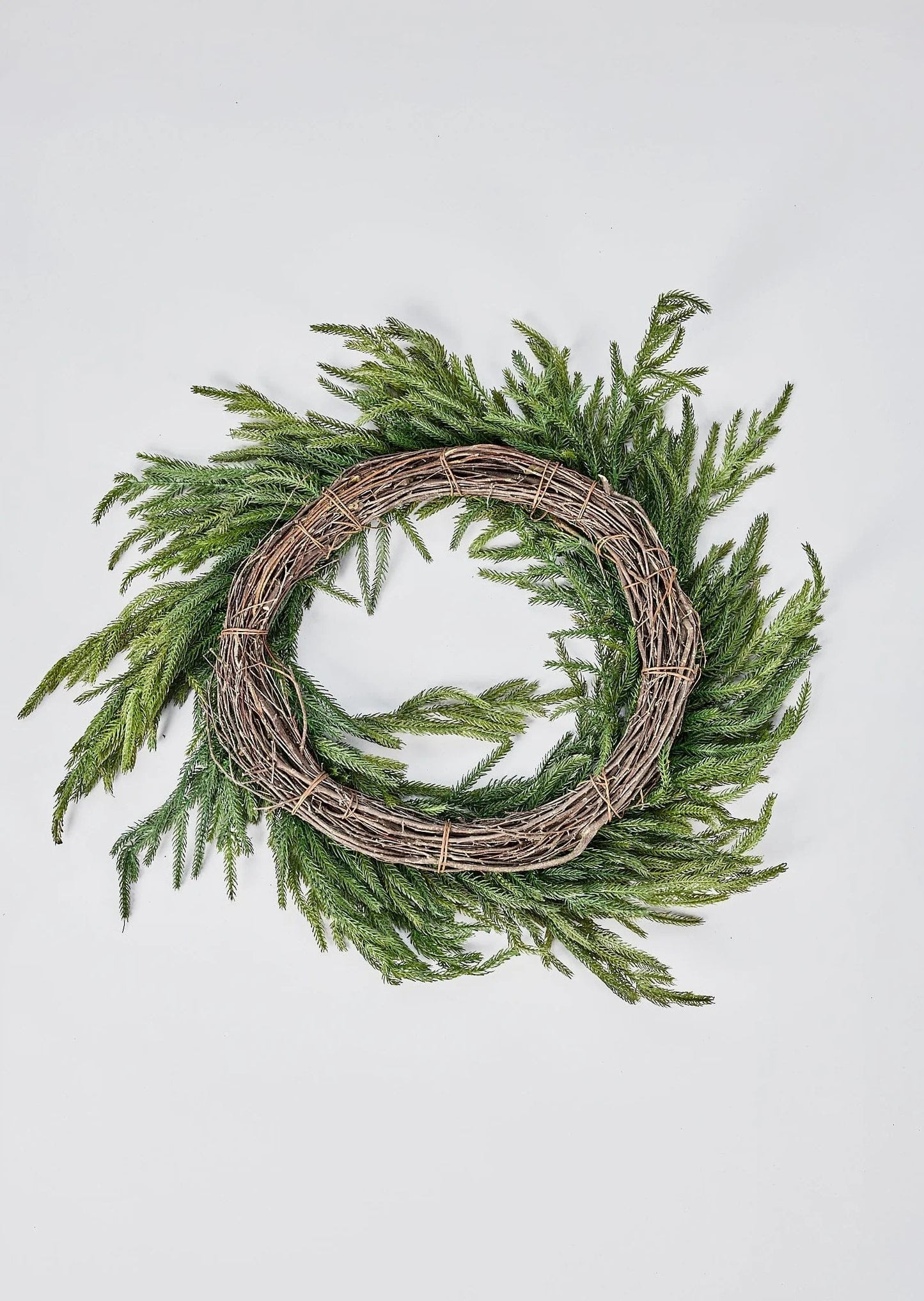 24" Real Touch Norfolk Pine Wreath