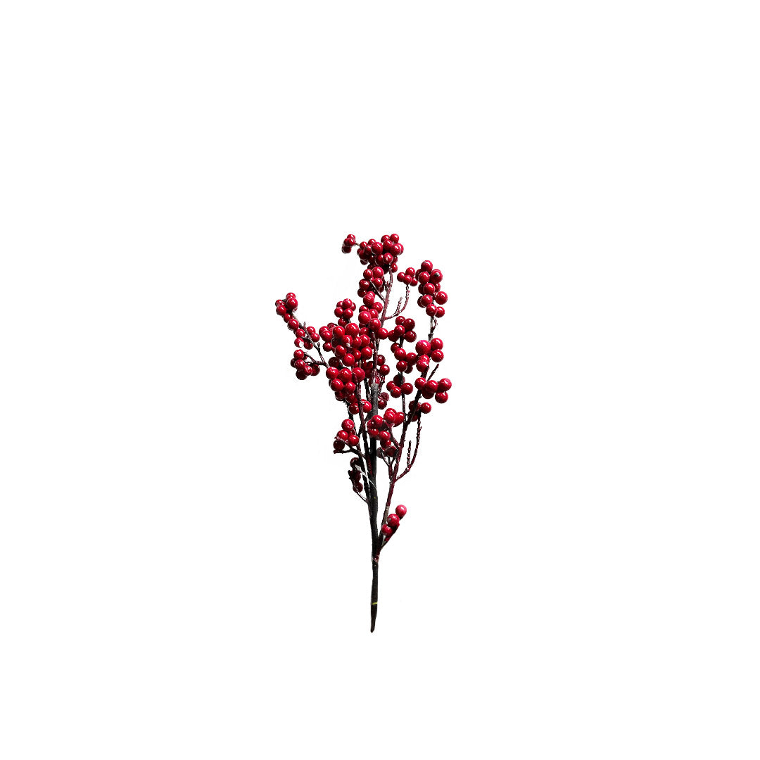 Weather Resist Berry Spray