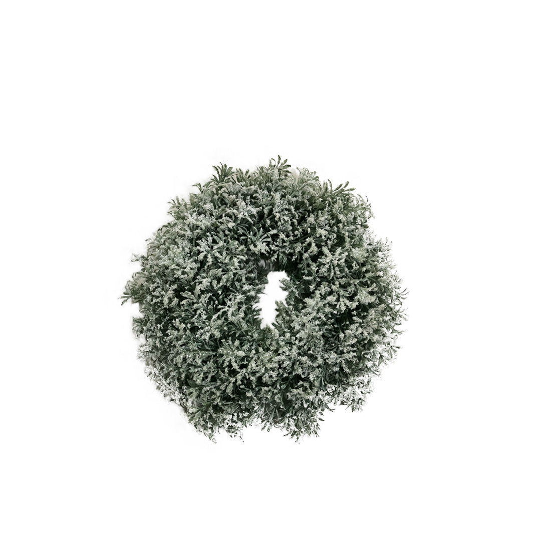 Frosted Wreath Sage