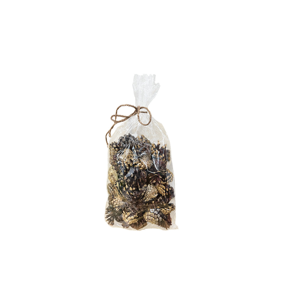 Bag of Pinecones