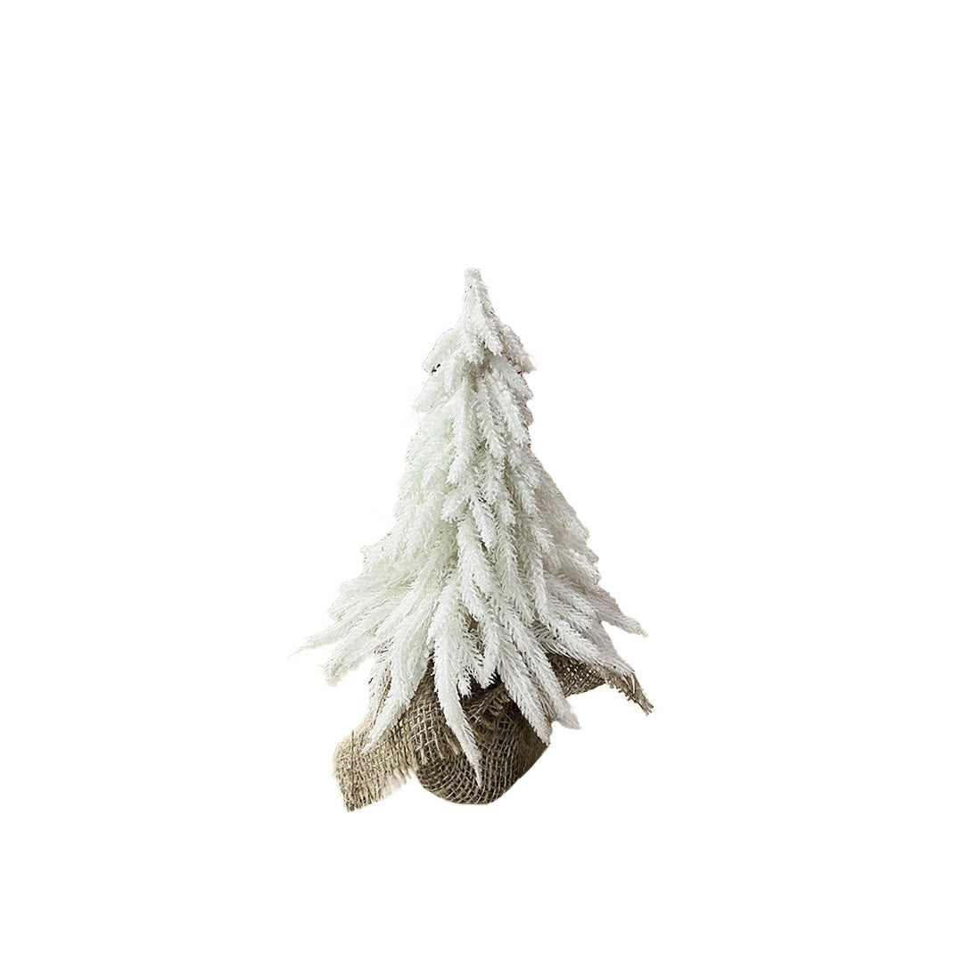 White Fir Tree | Medium