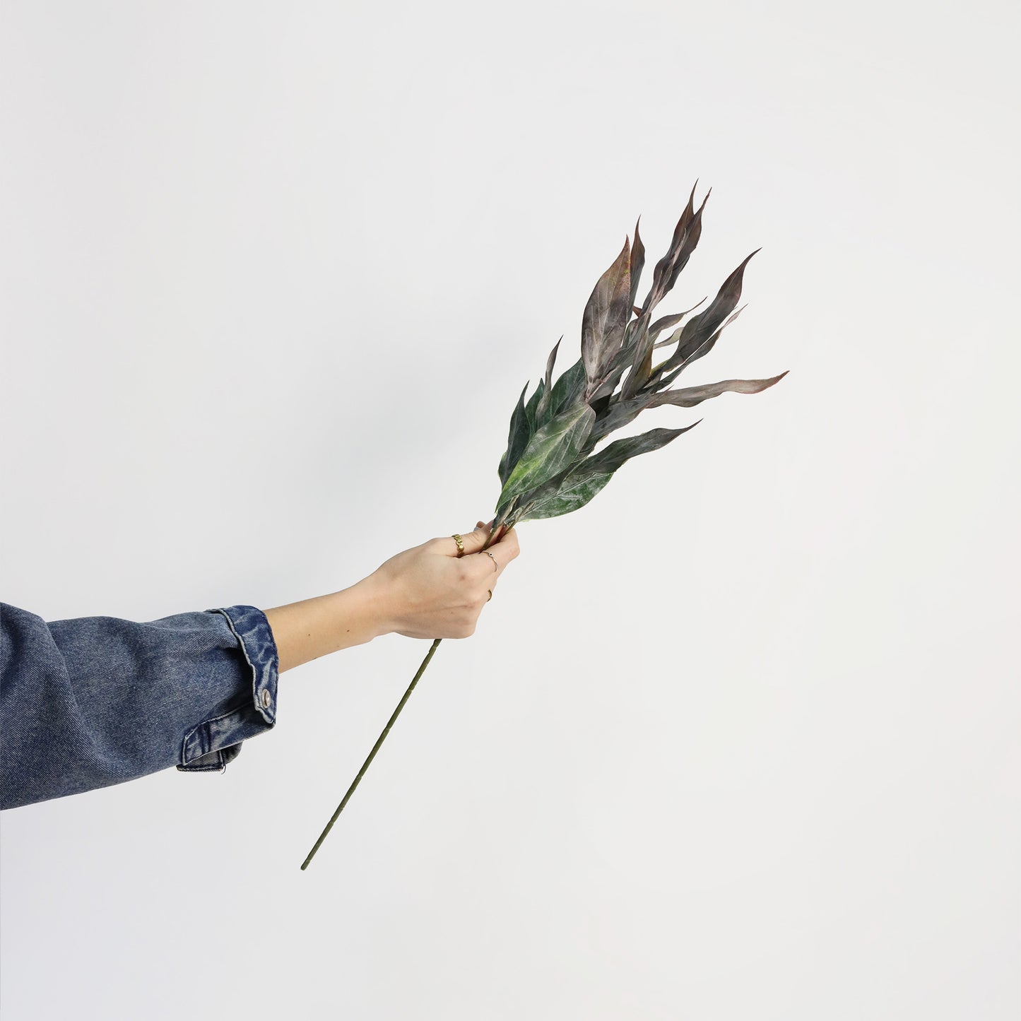 Faux Frosted Burgundy Green Lanceolate Leaf Spray