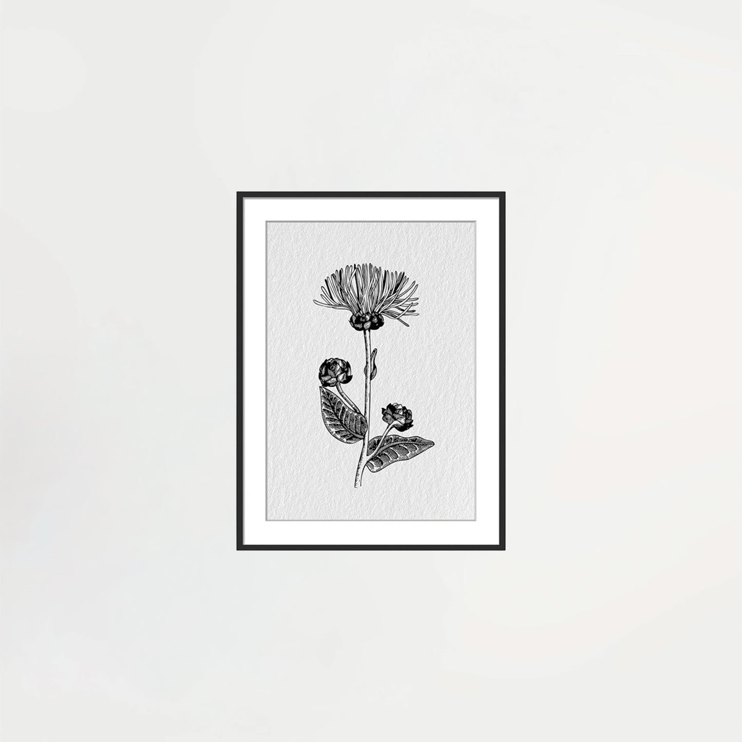 Framed Wildflower Print