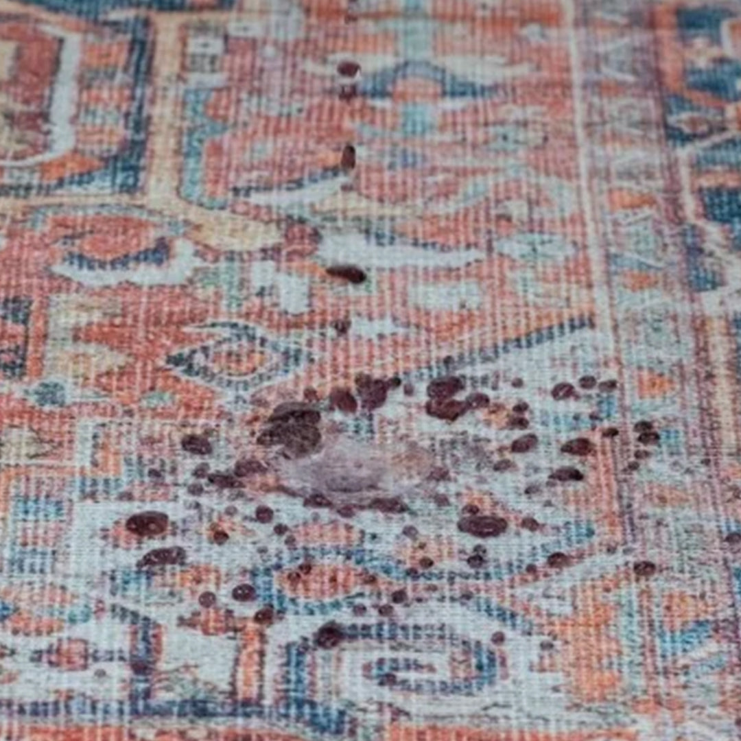 Aura Washable Spill Proof Red Multi Rug