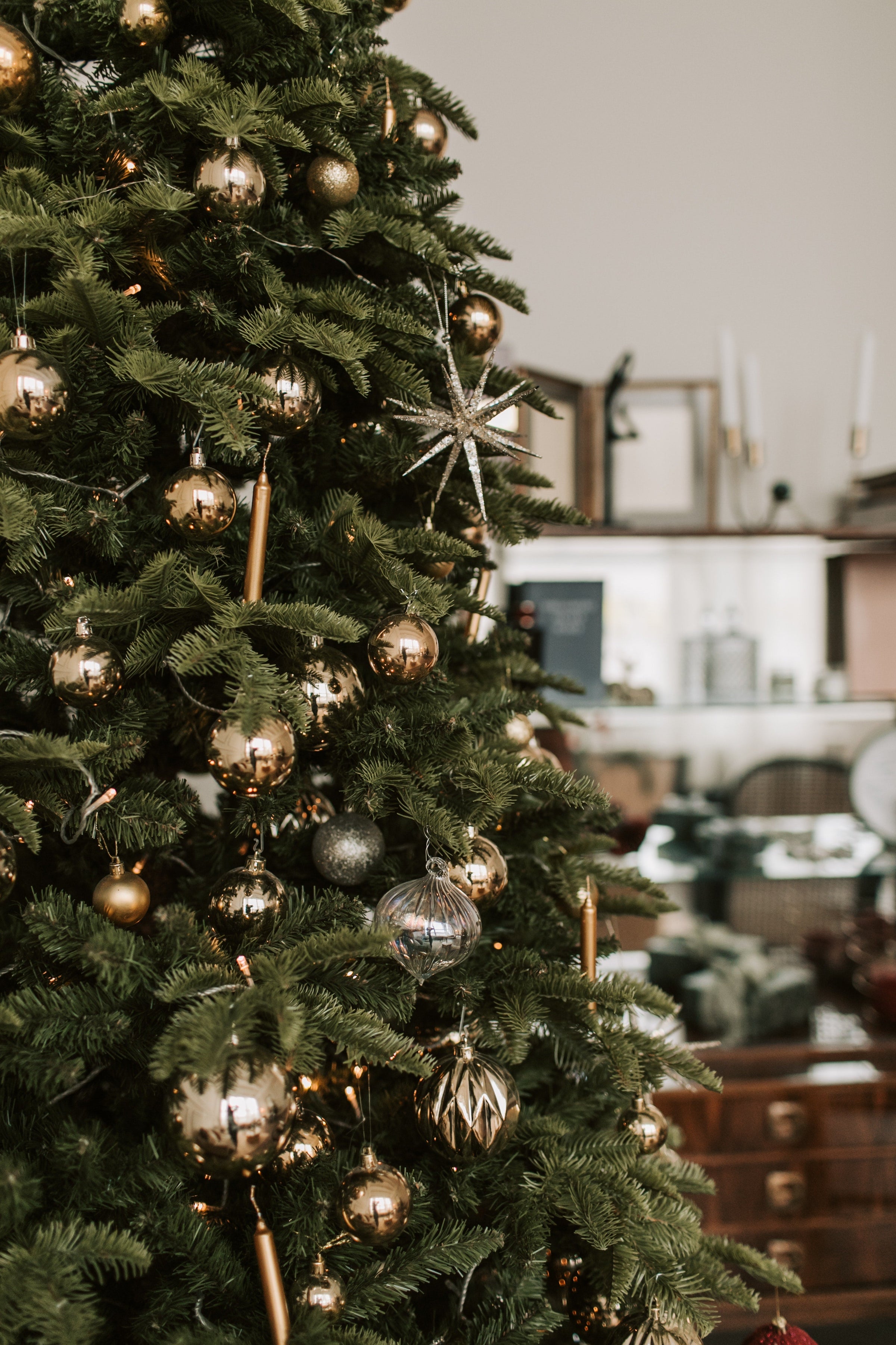 Holiday Ornaments