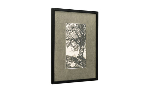 Arise Framed Print