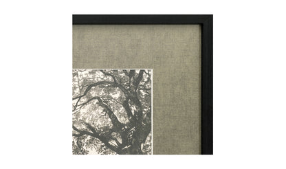 Arise Framed Print
