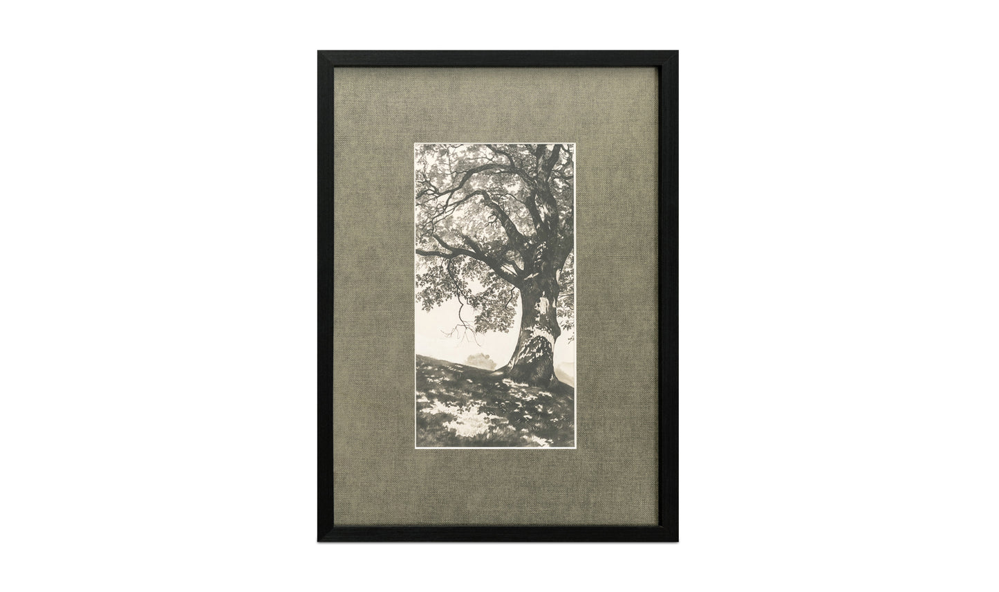 Arise Framed Print