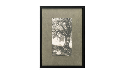 Arise Framed Print