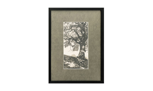 Arise Framed Print