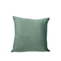Green Velvet Cushion