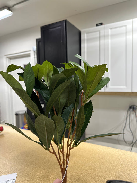 Laurel Leaf Bush