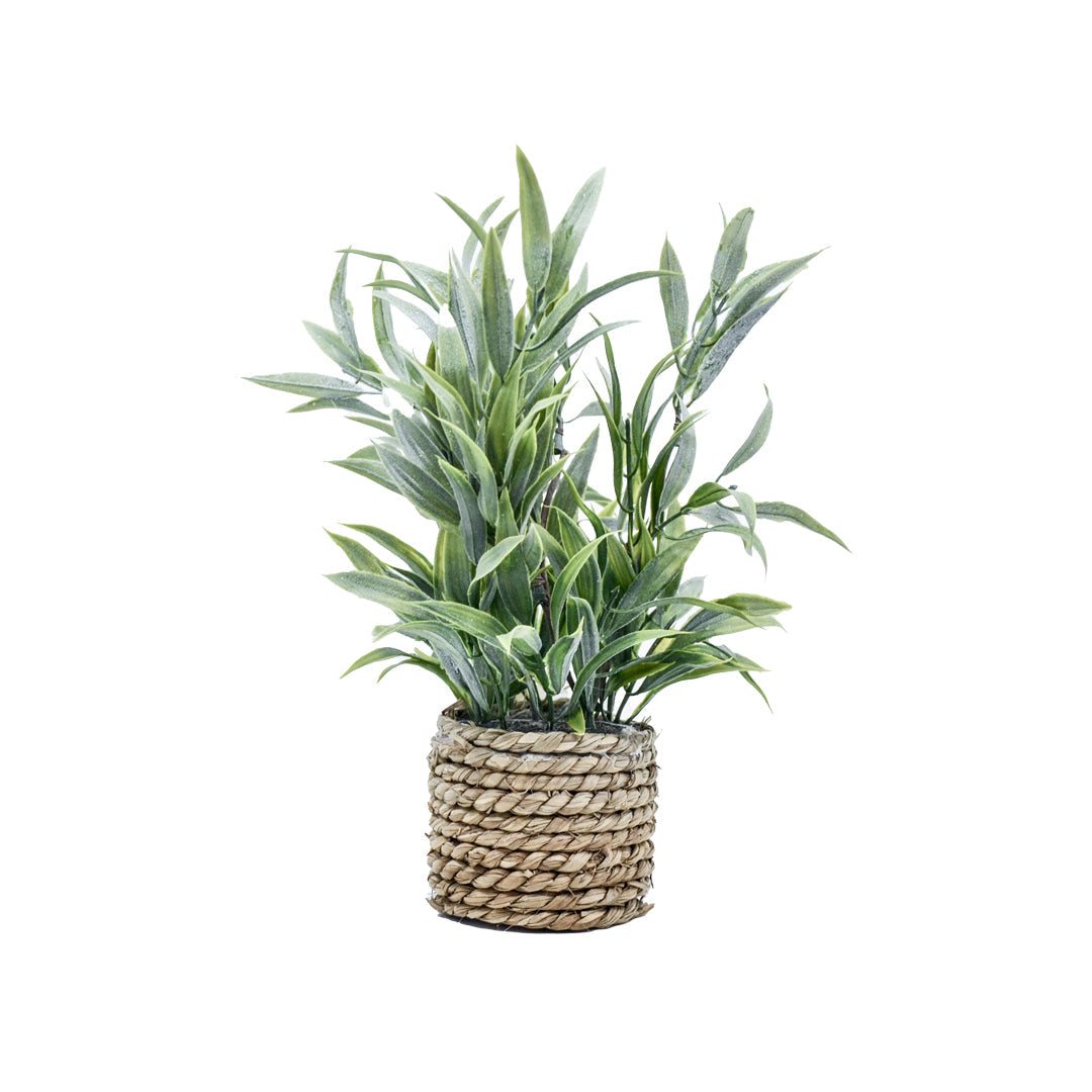 Freya Faux Plant with Rattan Pot - Grass