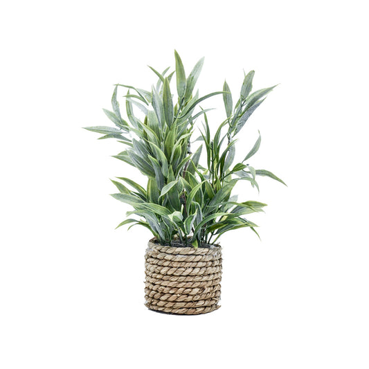 Freya Faux Plant with Rattan Pot - Grass