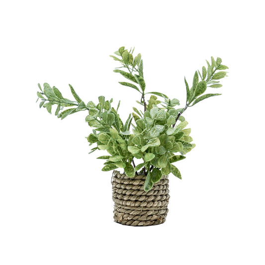 Freya Faux Plant with Rattan Pot - Leafy