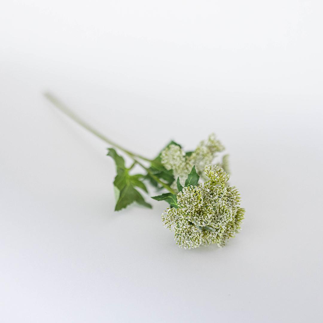 Lace Flower Stem