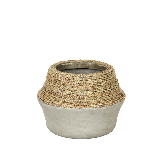 Nature Milk Jug Grass and Concrete Pot