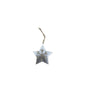 Metal Star Ornament
