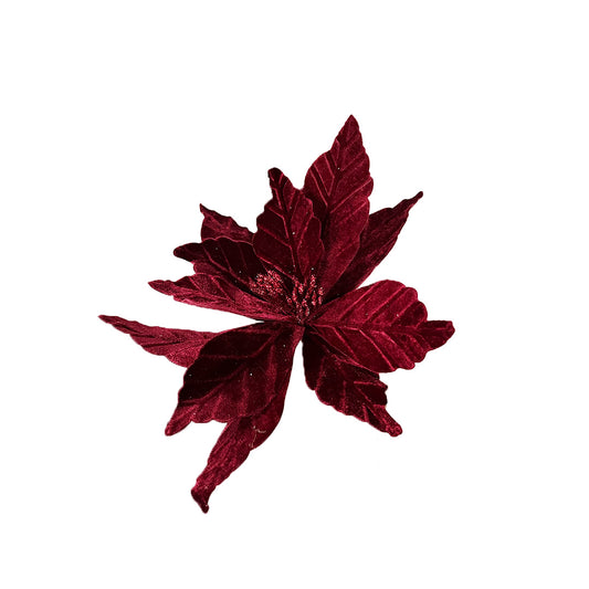 Velvet Poinsettia