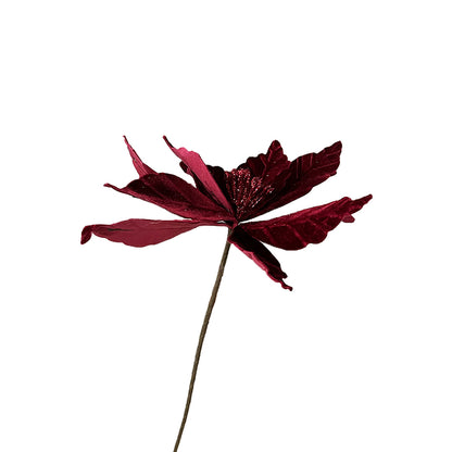 Velvet Poinsettia