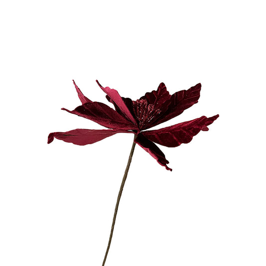 Velvet Poinsettia