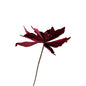 Velvet Poinsettia