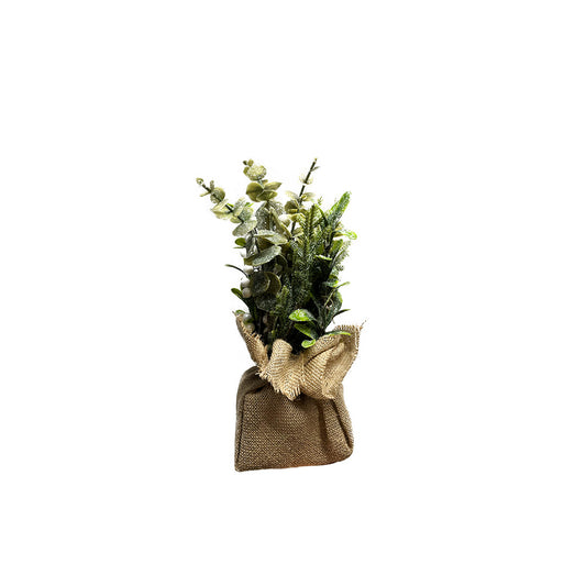 Mistletoe Tree
