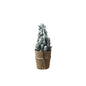 Mini Flocked Fir
