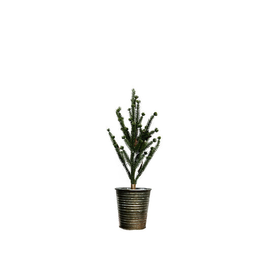 Pine Tree in Tin Green | Small