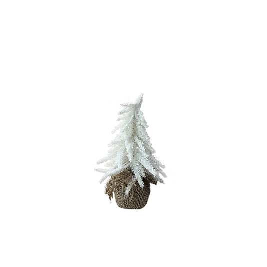 White Fir Tree | Small