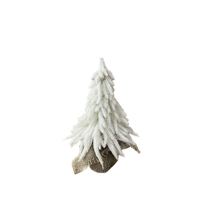 White Fir Tree | Medium
