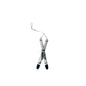 Ski Ornament