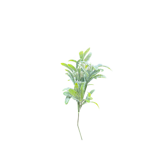 Frosted Mistletoe Stem
