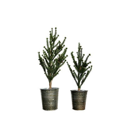 Pine Tree in Tin Green | Small