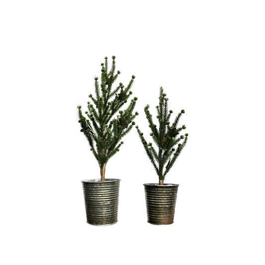Pine Tree in Tin Green | Medium