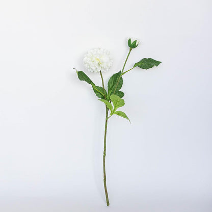 White Dahlia Stem