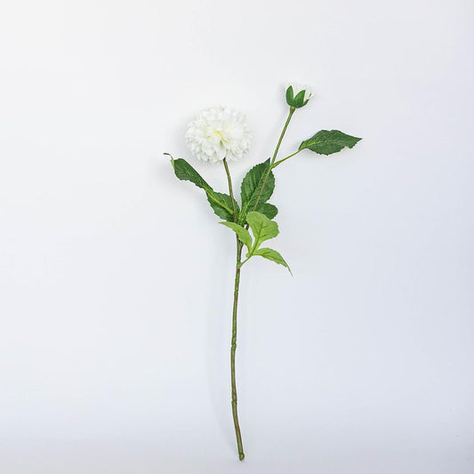 White Dahlia Stem