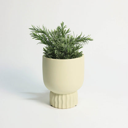 Salo Pot