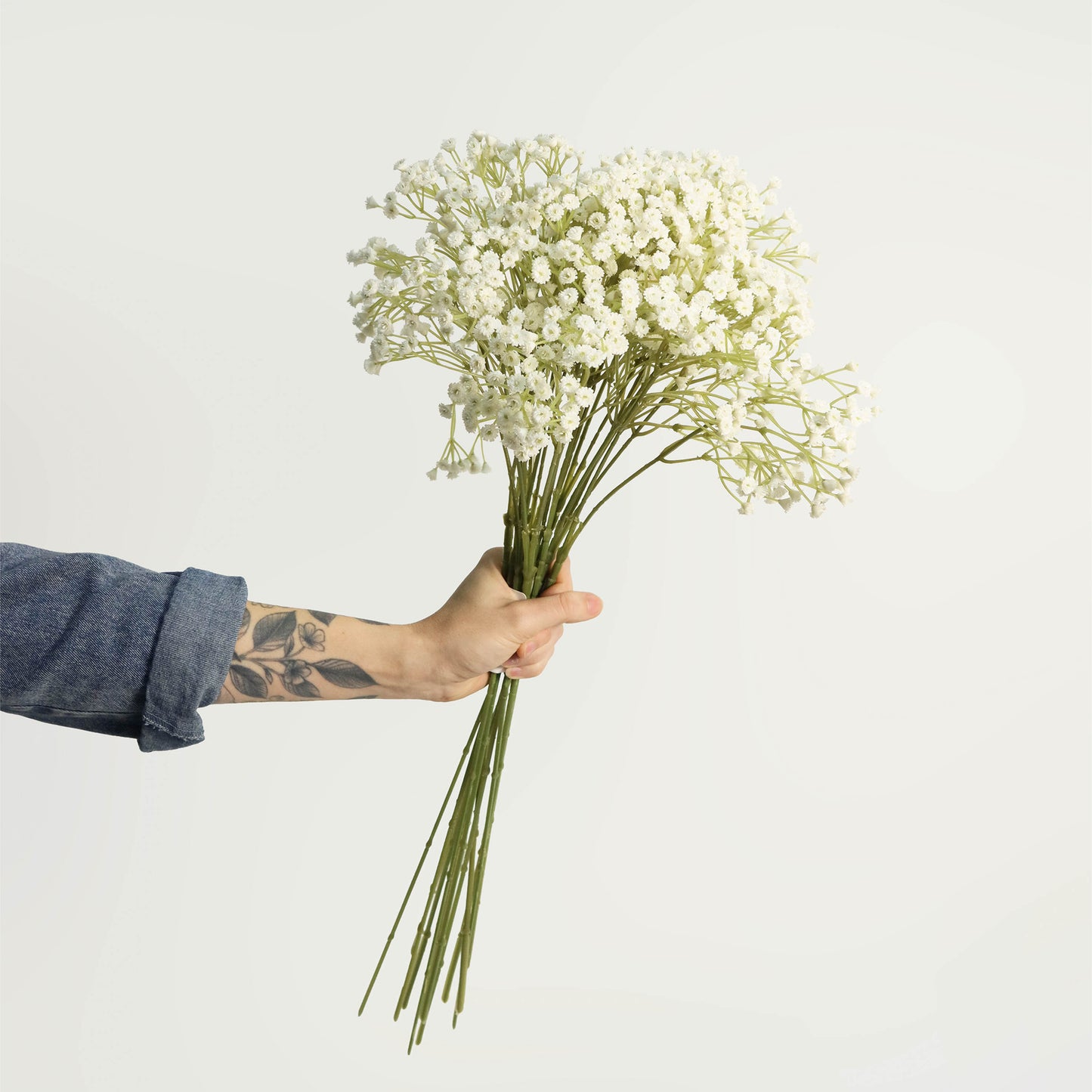White Allium Stem