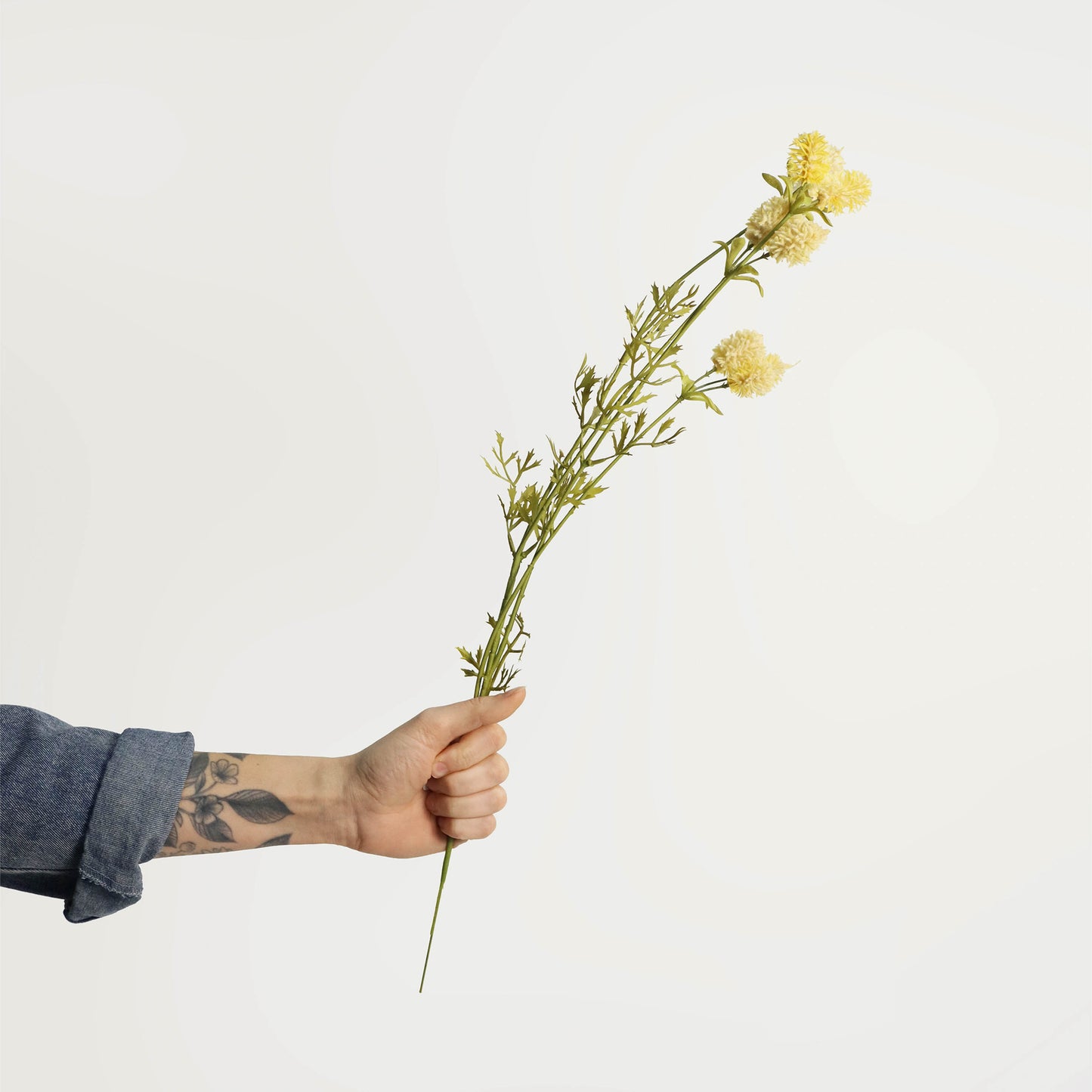 Wild Flower Stem