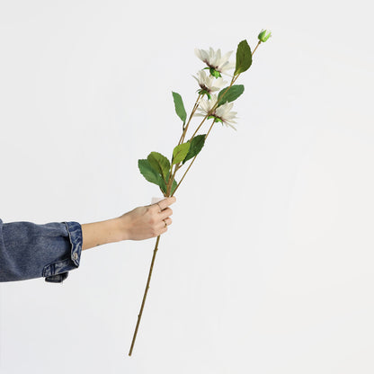 Faux White Black Eyed Susan Stem