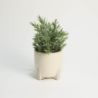 Ceramic Flower Pot