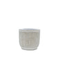 Raine Stripe Embossed Cement Pot - Small
