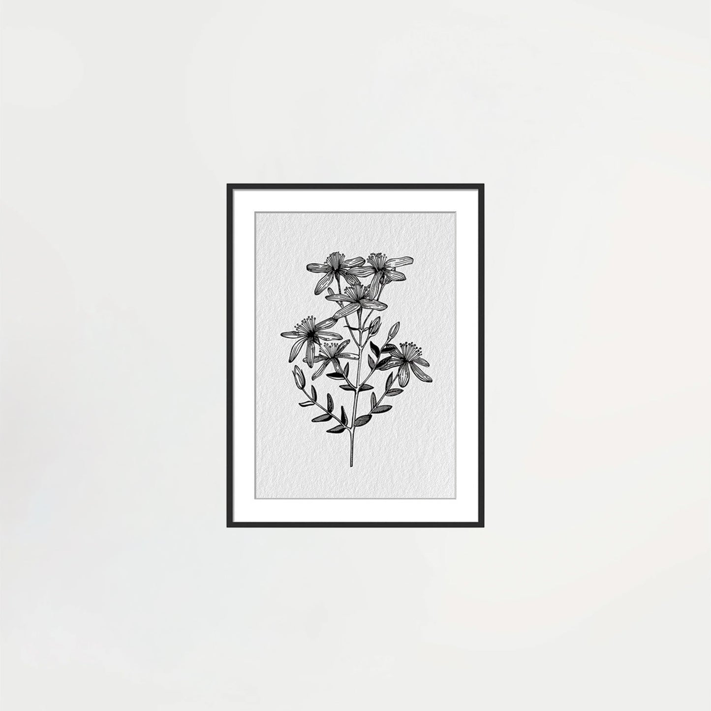 Framed Wildflower Print