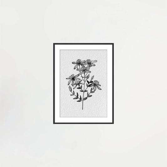 Framed Wildflower Print