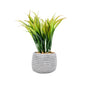 Rhodes Artificial Greenery in Cement Pot