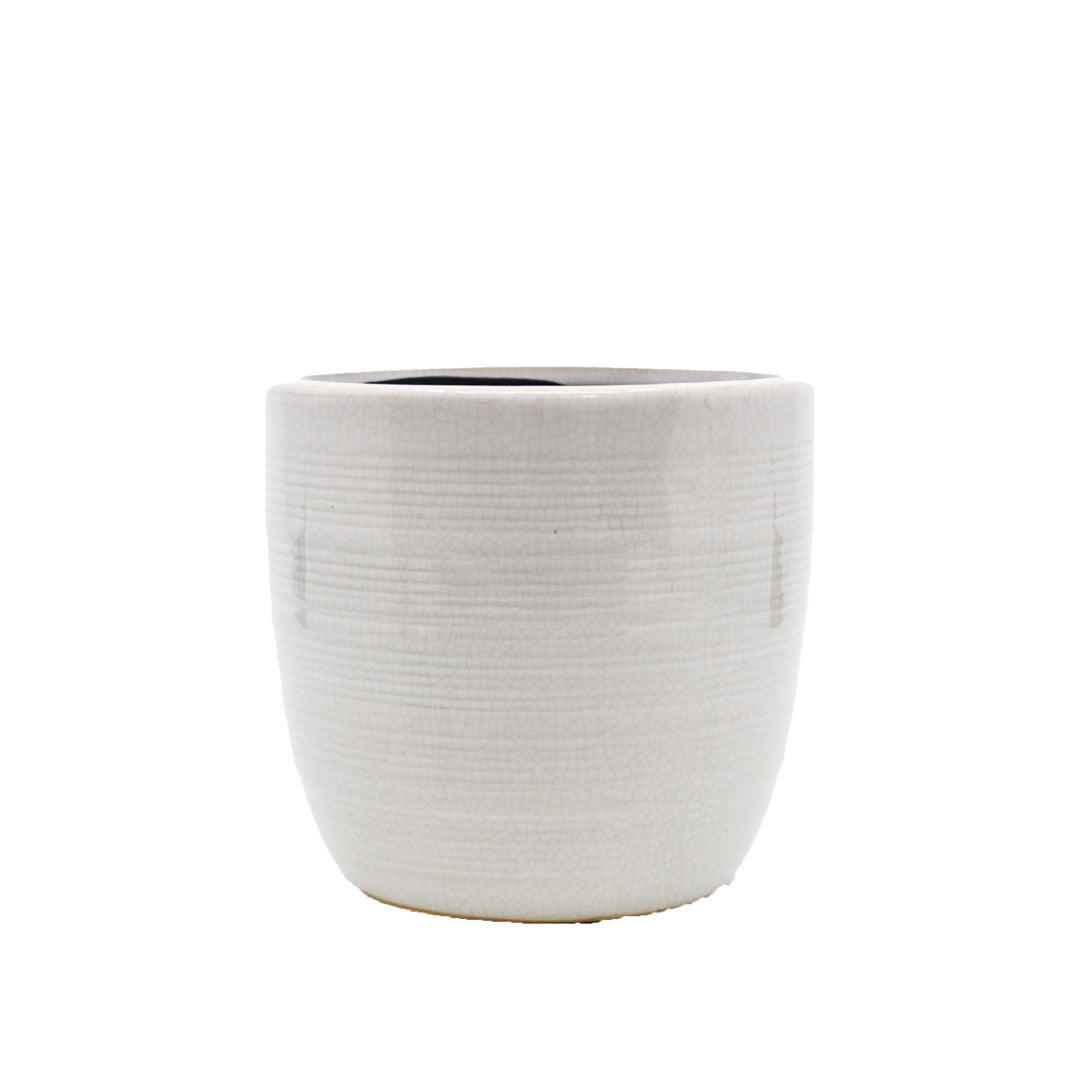 Laris White Ceramic Pot with Lines