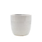 Laris White Ceramic Pot with Lines